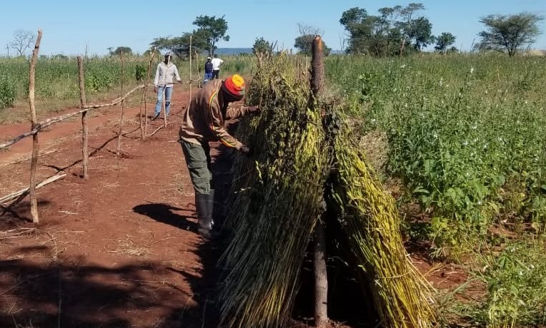 Agriculture