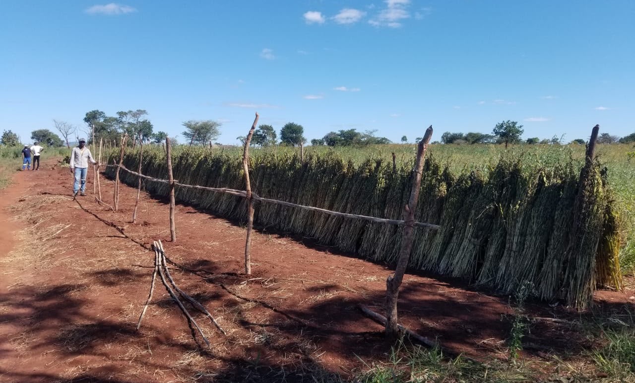 Agriculture